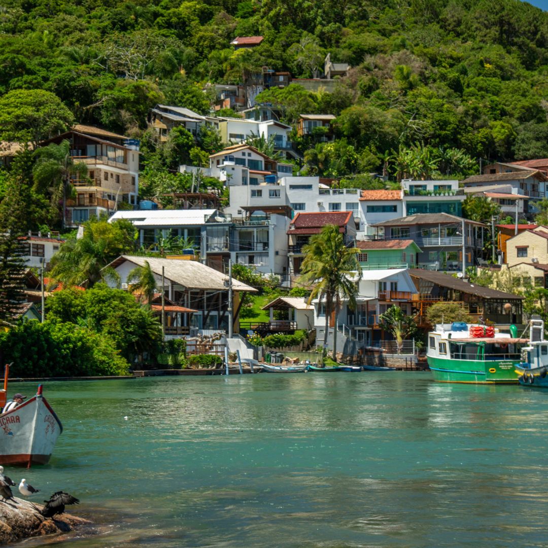 Rosemary Dream property photo 17